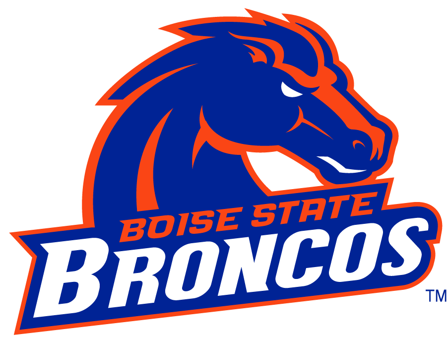 Boise State Broncos 2002-2012 Secondary Logo v13 t shirts iron on transfers